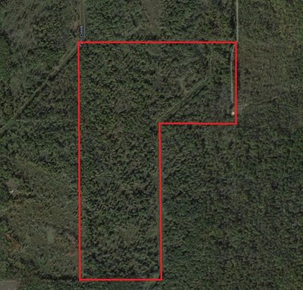 Hunting Land in Iosco County, Michigan