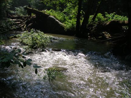 Farm Property in Fentress County, Tennessee