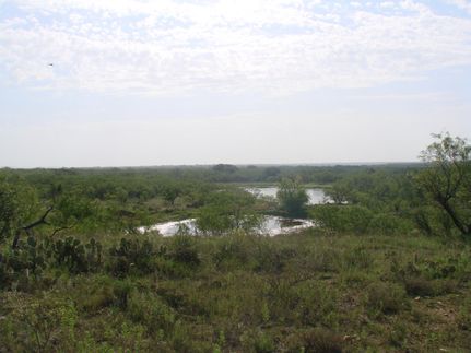 Farm Property in Callahan County, Texas