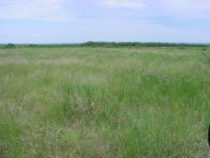 Farm Property in Fisher County, Texas
