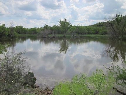 Farm Property in Callahan County, Texas
