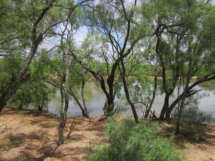 Farm Property in Callahan County, Texas