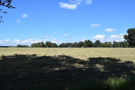 Ranch Property in Hernando County, Florida