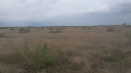 Hunting Land in Gaines County, Texas