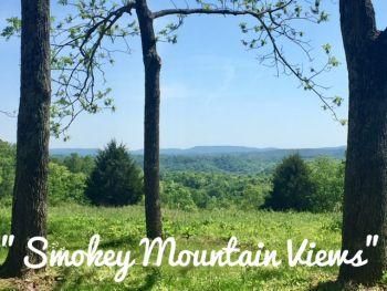 Farm Property in Russell County, Kentucky