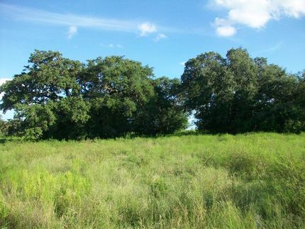 Property in Bee County, Texas