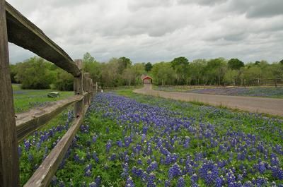 Farm Property in Washington County, Texas