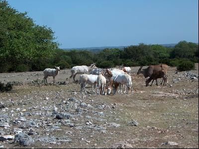 Property in Kerr County, Texas