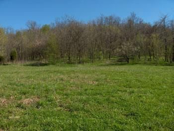 Property in Lewis County, Kentucky