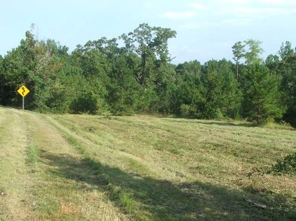 Ranch Property in Dallas County, Alabama