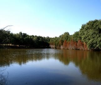 Farm Property in Comal County, Texas