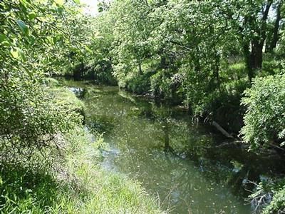 Farm Property in Mills County, Texas