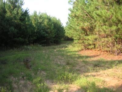 Farm Property in Cleveland County, Arkansas