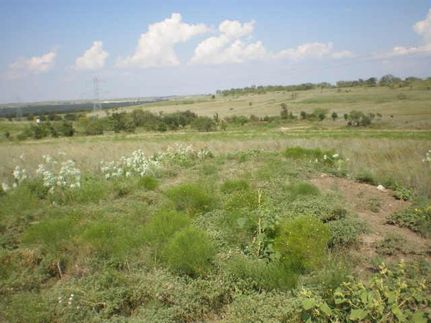 Farm Property in Parker County, Texas