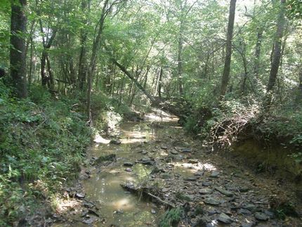 Ranch Property in Lancaster County, South Carolina