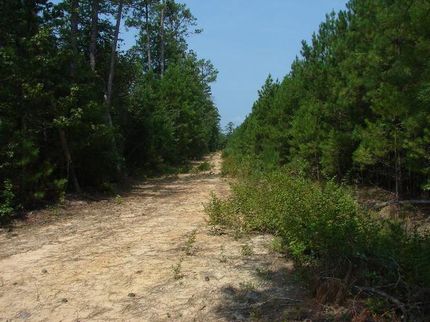 Ranch Property in Marlboro County, South Carolina