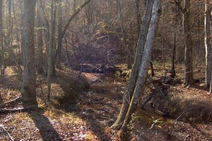 Farm Property in Wayne County, Tennessee