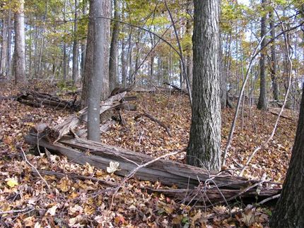 Ranch Property in Summers County, West Virginia