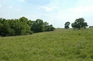 Farm Property in Washington County, Texas
