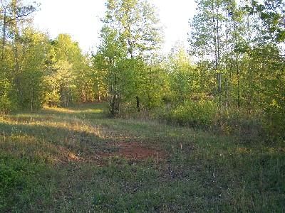 Farm Property in Clay County, Alabama