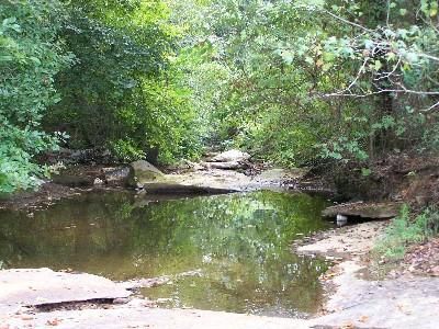Farm Property in Randolph County, Alabama