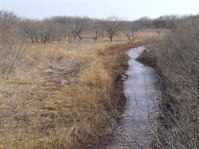 Property in Young County, Texas