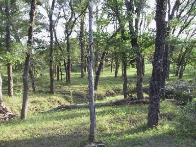 Farm Property in McLennan County, Texas