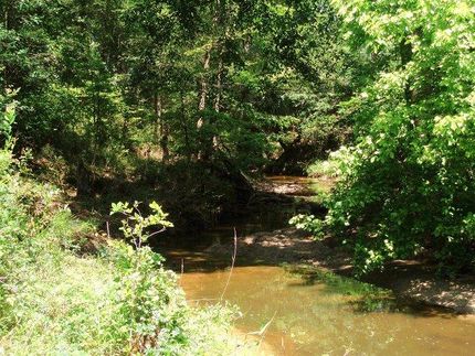 Farm Property in Grimes County, Texas