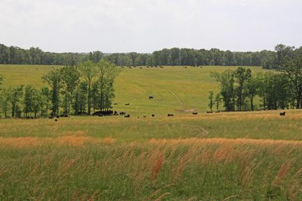Hunting Land in Benton County, Missouri