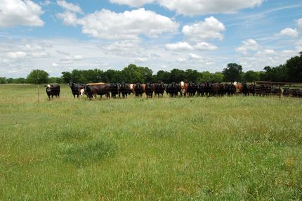 Property in Coal County, Oklahoma
