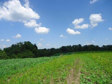 Waterfront Property in Washington County, Kentucky