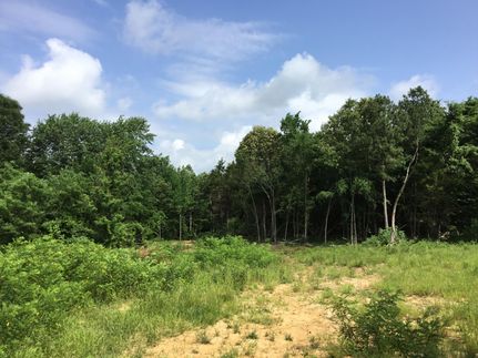 Undeveloped Land in Marshall County, Kentucky