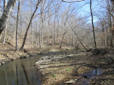 Horse Property in Adair County, Kentucky