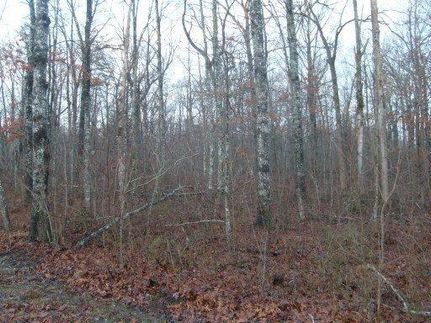 Farm Property in Putnam County, Tennessee