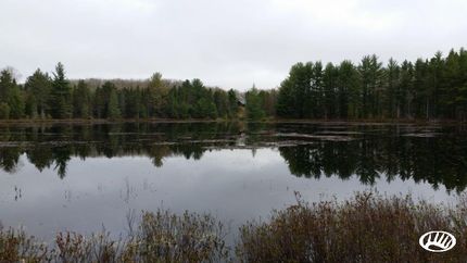 Farm Property in Presque Isle County, Michigan