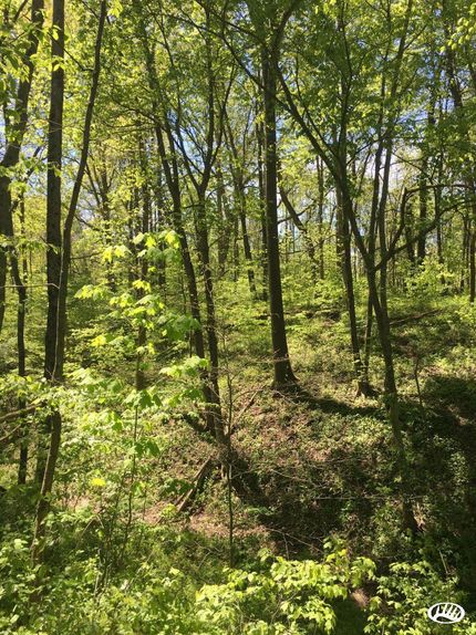 Property in Coshocton County, Ohio