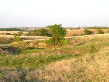 Farm Property in Tarrant County, Texas