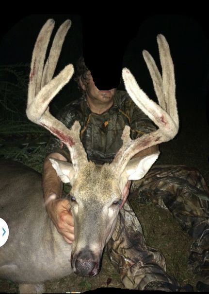 Property in Trigg County, Kentucky