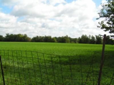 Ranch Property in Delaware County, Indiana