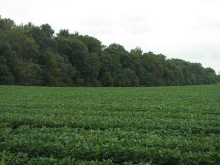 Farm Property in Miami County, Indiana