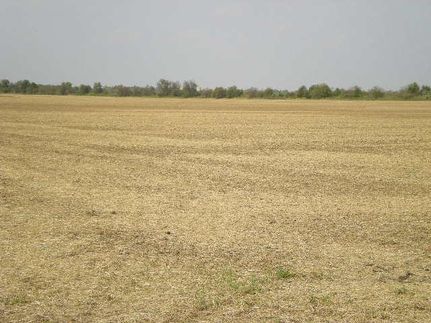 Farm Property in Clinton County, Indiana