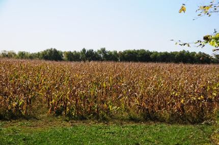 Farm Property in Hendricks County, Indiana