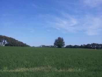 Ranch Property in LaPorte County, Indiana