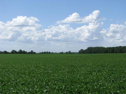 Farm Property in Clinton County, Ohio