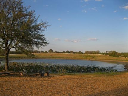 Farm Property in Collin County, Texas