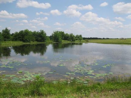 Ranch Property in Fannin County, Texas