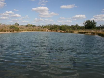 Farm Property in Live Oak County, Texas