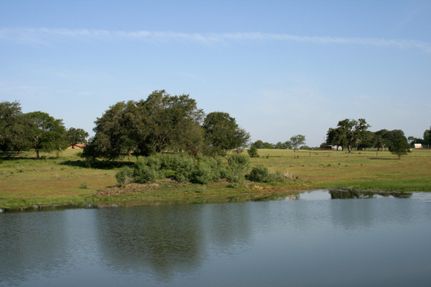 Property in Wilson County, Texas