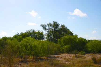 Farm Property in Medina County, Texas