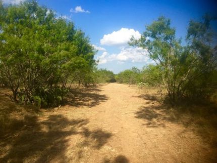 Farm Property in Atascosa County, Texas
